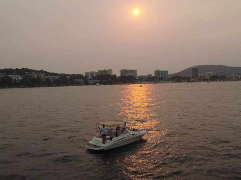 Sea Ray Sea Ray 240 Sundeck in Palma de Mallorca on SamBoat