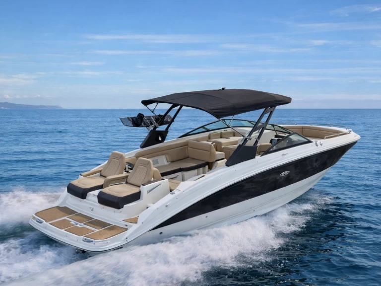 Bareboat Rental Motorboat Sea Ray with a boat licence