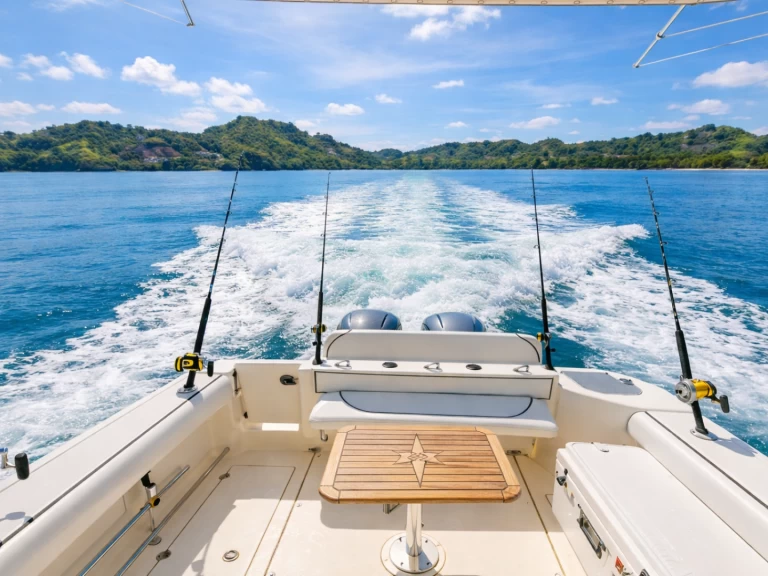 Rent a Robalo Robalo 31 FT Bahía Culebra