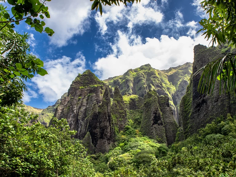 Boat rental Alubat Ovni 43 in La Paz on Samboat
