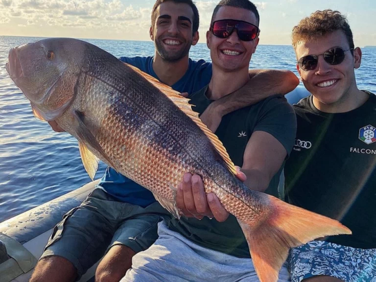 Bareboat Rental Motorboat Saver 33 with a boat licence