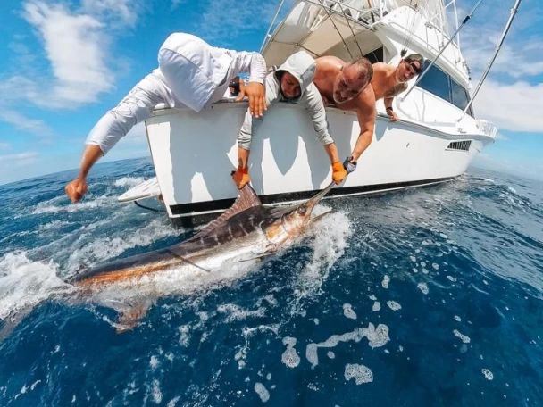 Boat rental Viking Viking 50 in Marina Papagayo on Samboat