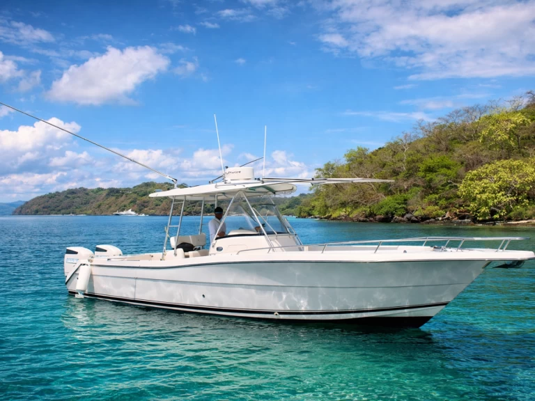 Pursuit Pursuit 32 charter bareboat or captained in  Coco Bay