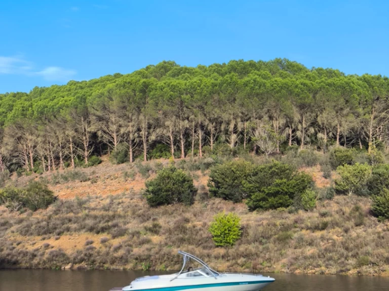 Yacht charter Ferragudo cheap SSV 215