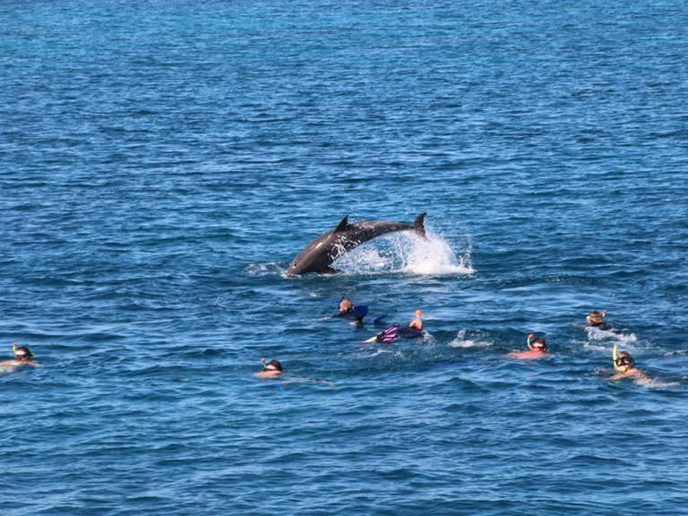 Bareboat Rental Luxury Yacht  with a boat licence