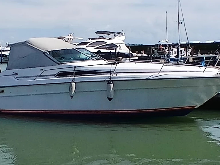 Luxury Yacht rental in Venice - Sea Ray Sea Ray 310 Express