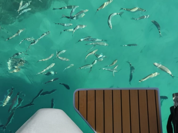 Bareboat Rental RIB Sacs with a boat licence