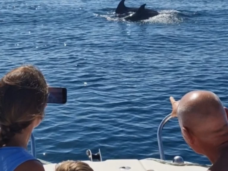 Rent a Quicksilver Activ 555 Open Estepona