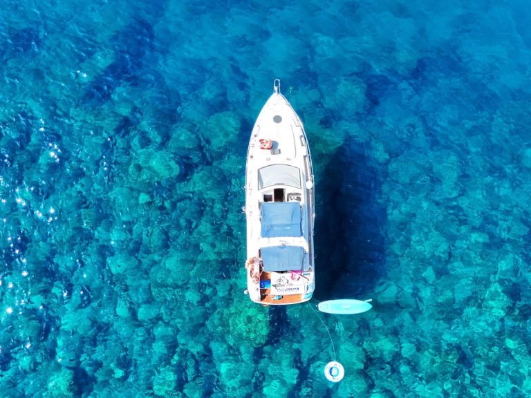 Motorboat rental with or without captain Astondoa Puerto Deportivo Puerto Rico