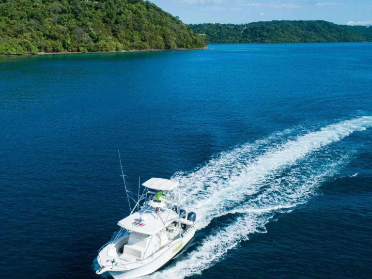 Motorboat rental with or without captain Custom Coco Bay