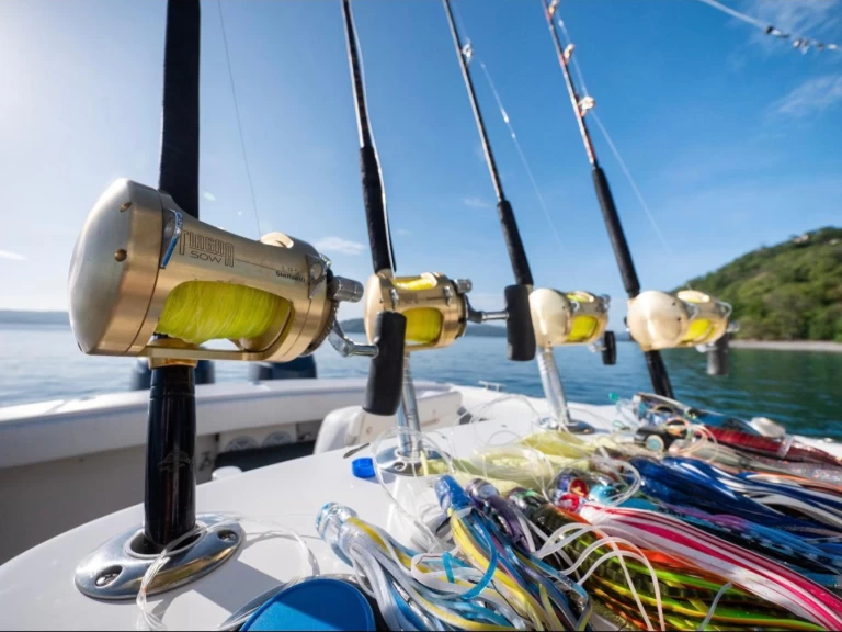 Motorboat for rent Coco Bay at the best price