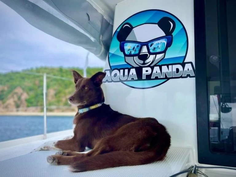 Catamaran rental in Kingstown - Fountaine Pajot Lucia 40