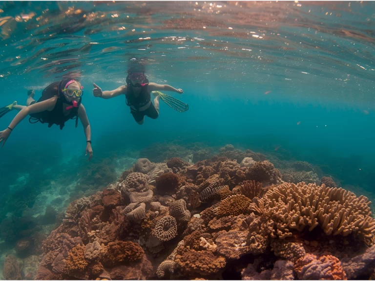 Motorboat rental in Punta Cana - Custom Custom