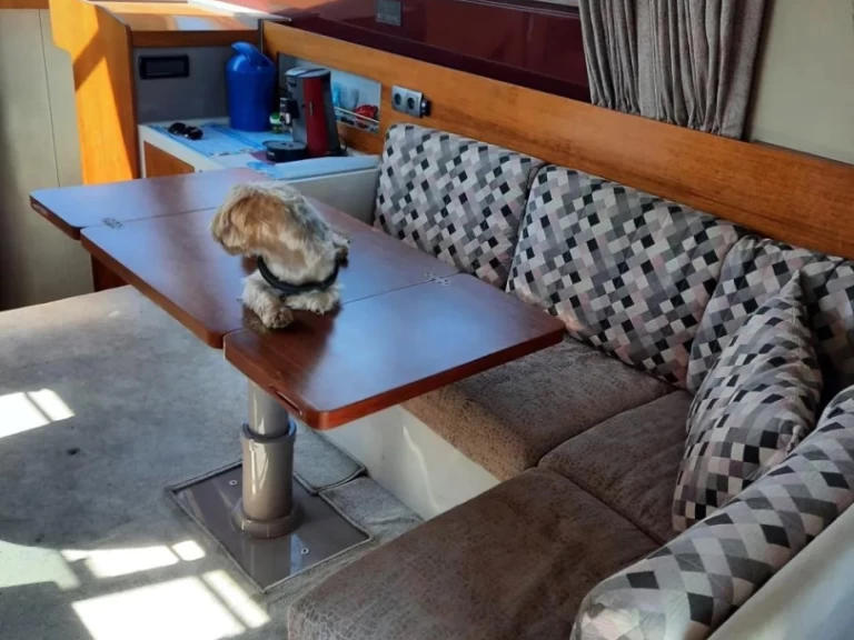 Motorboat rental in Pula - Riva rivarama 44