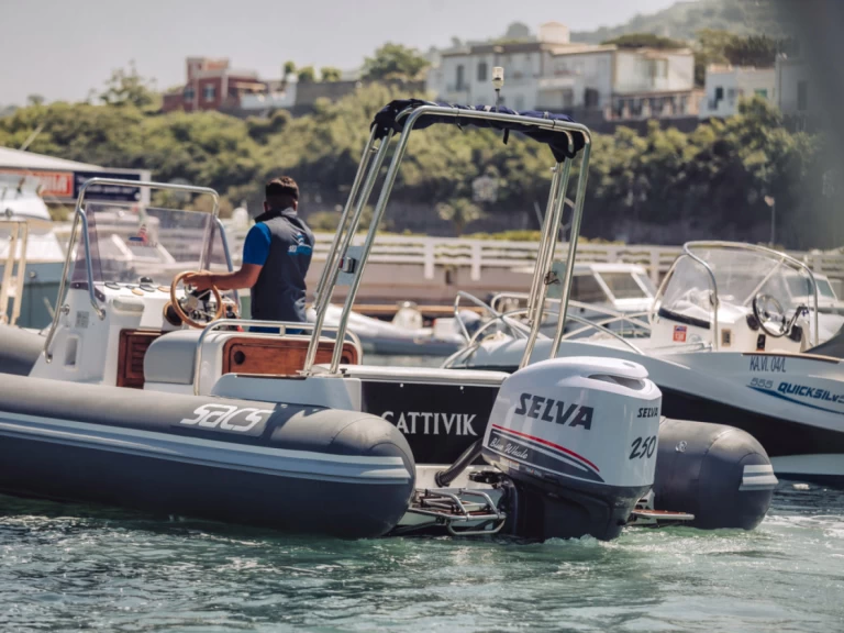 RIB rental with or without captain Sacs Forio