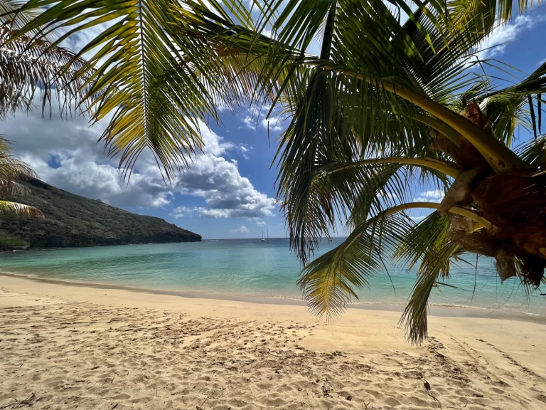 Bareboat Rental Sailboat Pogo Structures with a boat licence