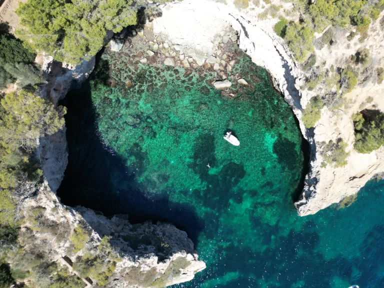 RIB rental with or without captain Protender Cala Figuera