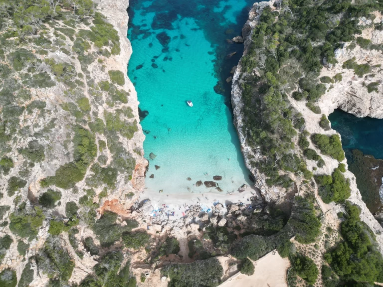 Protender Xs 470 charter bareboat or captained in  Cala Figuera