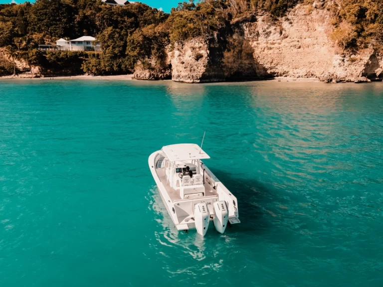 Forboat Forboat 34 Open charter bareboat or captained in  Le Gosier