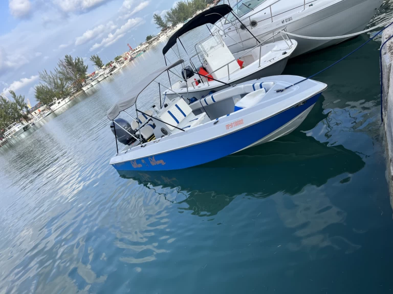 Motorboat rental with or without captain Custom Made Nassau