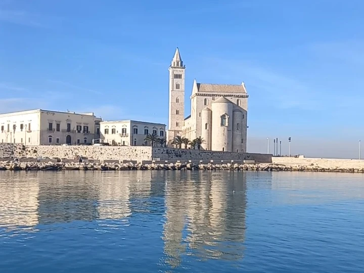 Mochi Craft 47 in Bisceglie on SamBoat