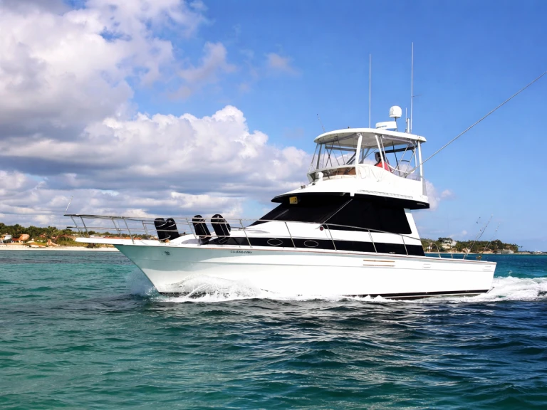 Motorboat rental in Bávaro - Custom Custom