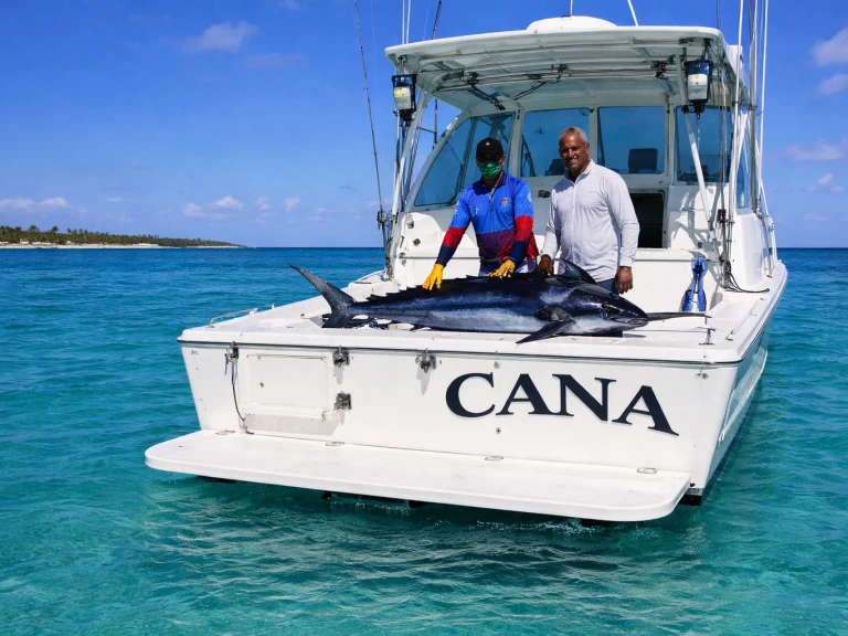 Motorboat rental with or without captain Custom Made Bávaro