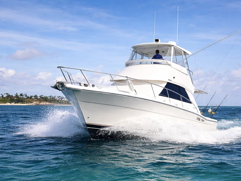 Motorboat rental with or without captain Custom Made Bávaro