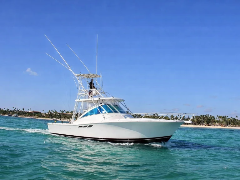 Motorboat for rent Bávaro at the best price