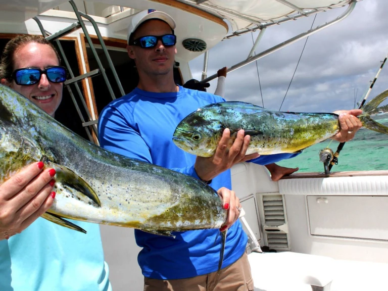 Custom Made custom charter bareboat or captained in  Bávaro
