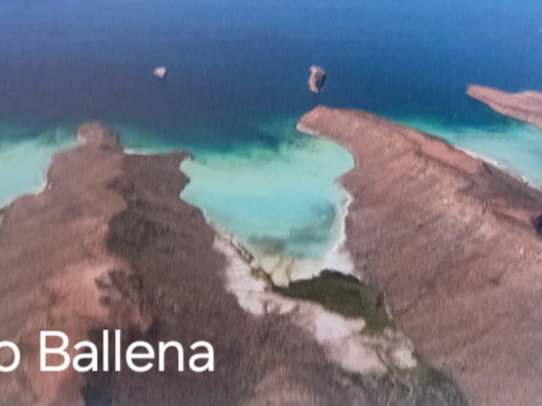 Alubat Ovni 43 in La Paz on SamBoat