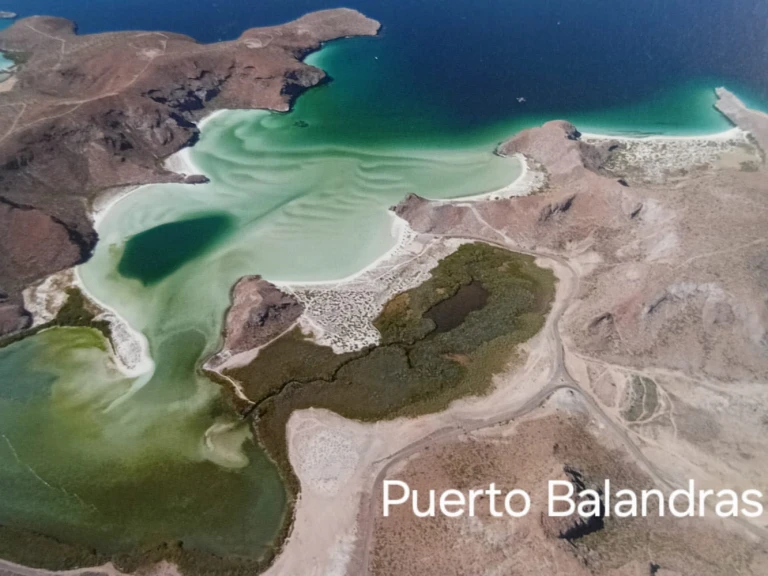 Rent a Alubat Ovni 43 La Paz