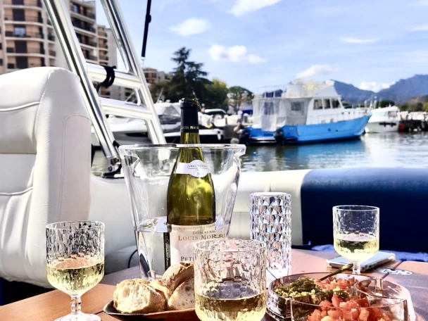 Bareboat Rental Motorboat Crownline with a boat licence