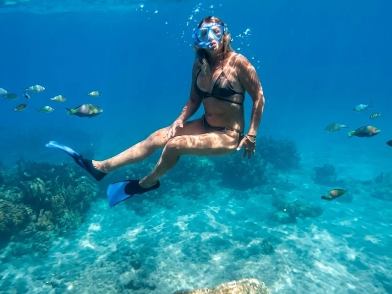 Galeon Galeon 420 Fly in Mandelieu-la-Napoule on SamBoat