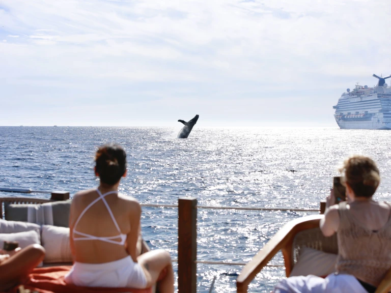 Boat rental Custom Made 36 in Cabo San Lucas on Samboat