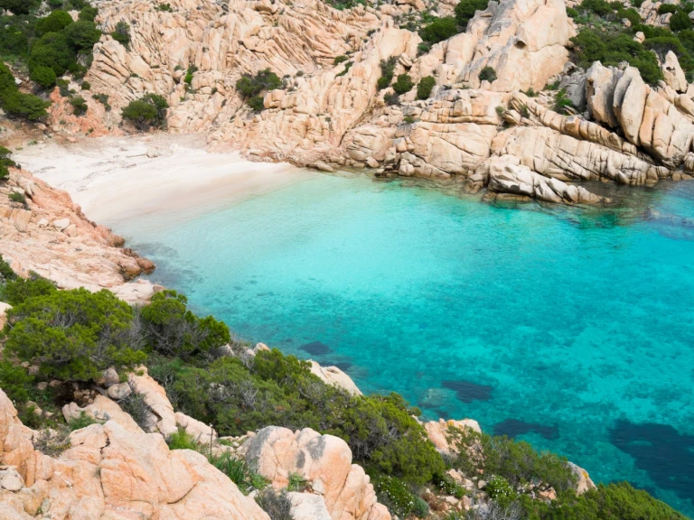 RIB rental in Porto Rotondo - Capelli Capelli 600