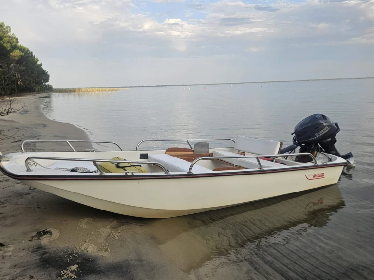 Boat rental Boston Whaler Boston Whaler 13 Gls in Hourtin on Samboat