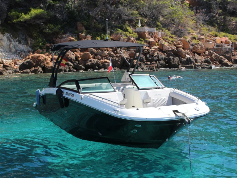 Sea Ray SDX 290 in Spain on SamBoat