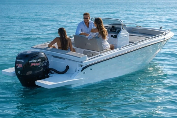 Motorboat for rent Port d'Addaia (Port) at the best price