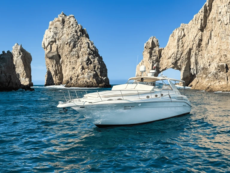 Custom Made custom charter bareboat or captained in  Cabo San Lucas