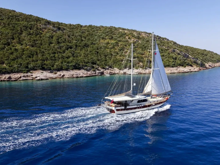 Boat rental Custom Made in Bodrum on Samboat
