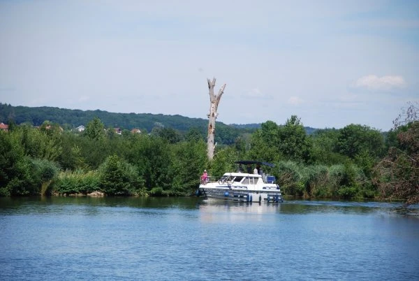Motorboat rental in Savoyeux -  Tarpon 37