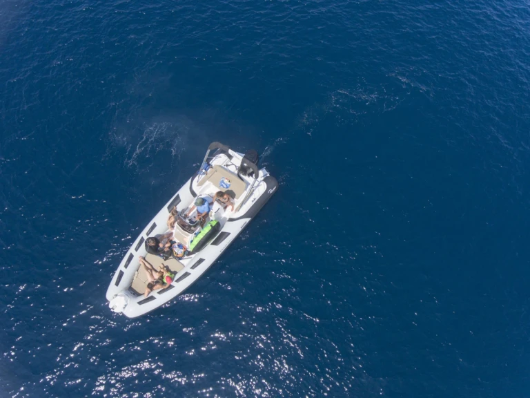 Boat rental Quicksilver Quicksilver 555 Activ Open in Campomoro on Samboat