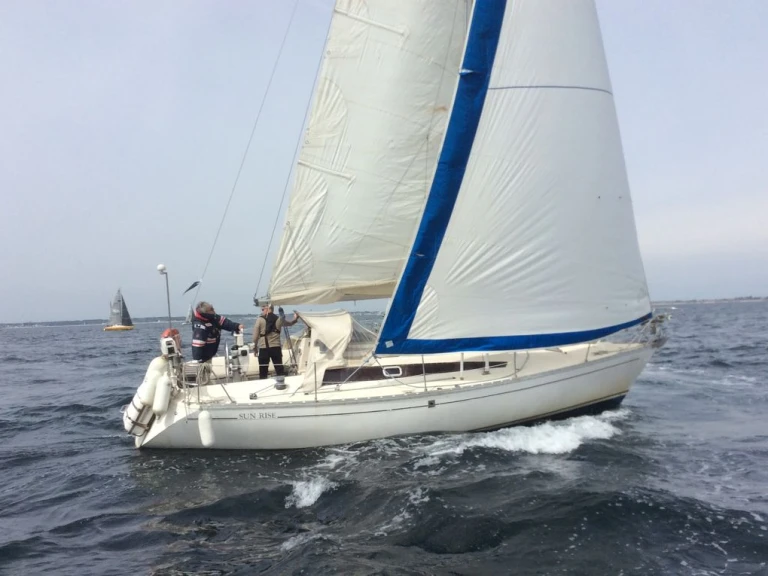 Boat rental Jeanneau Sun Rise DL in Lorient on Samboat