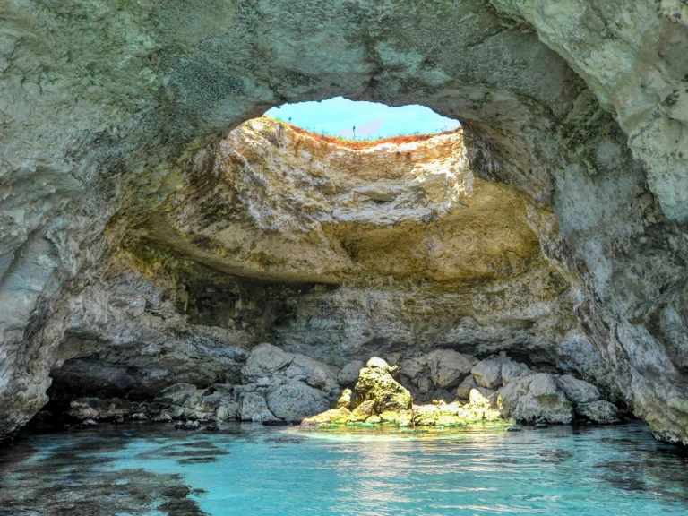 dolphin Dolphin 25 charter bareboat or captained in  Otranto