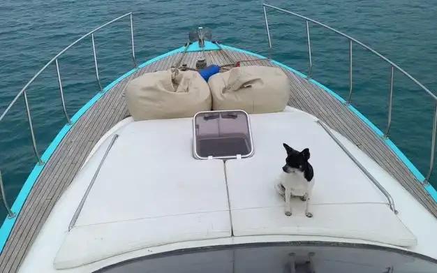 Custom Made charter bareboat or captained in  Antalya (City)