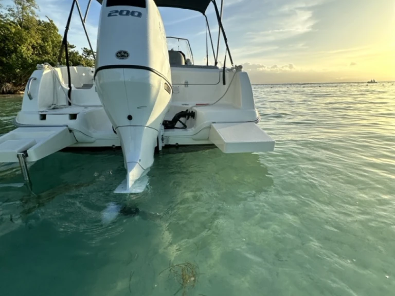 Motorboat rental in Le Gosier - Pacific Craft Pacific Craft 670 Open