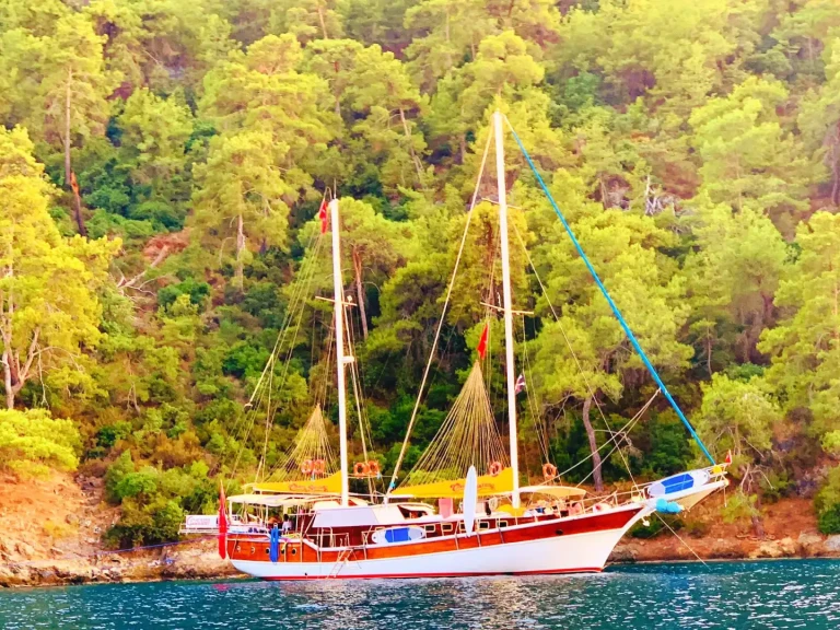 Bareboat Rental Sailboat Custom with a boat licence