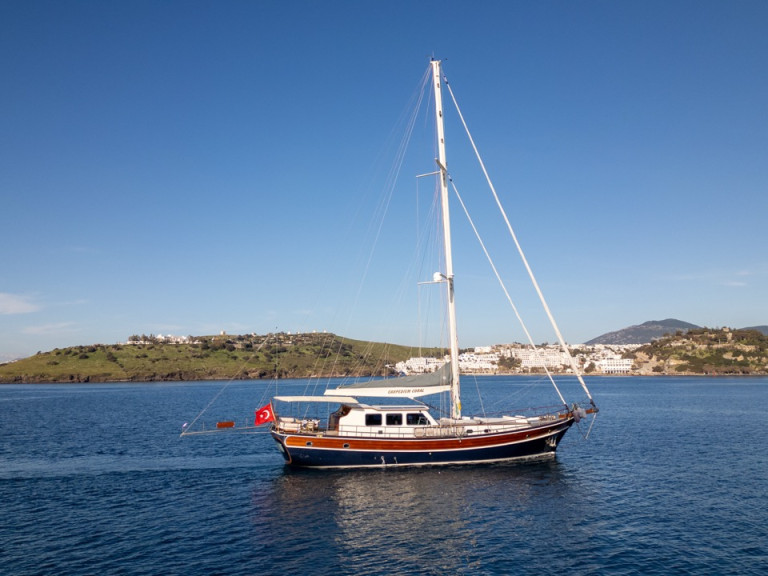 Unknown Carpediem coral in Bodrum on SamBoat