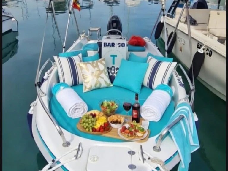 Boat rental Quicksilver Activ 455 Open in Alicante on Samboat